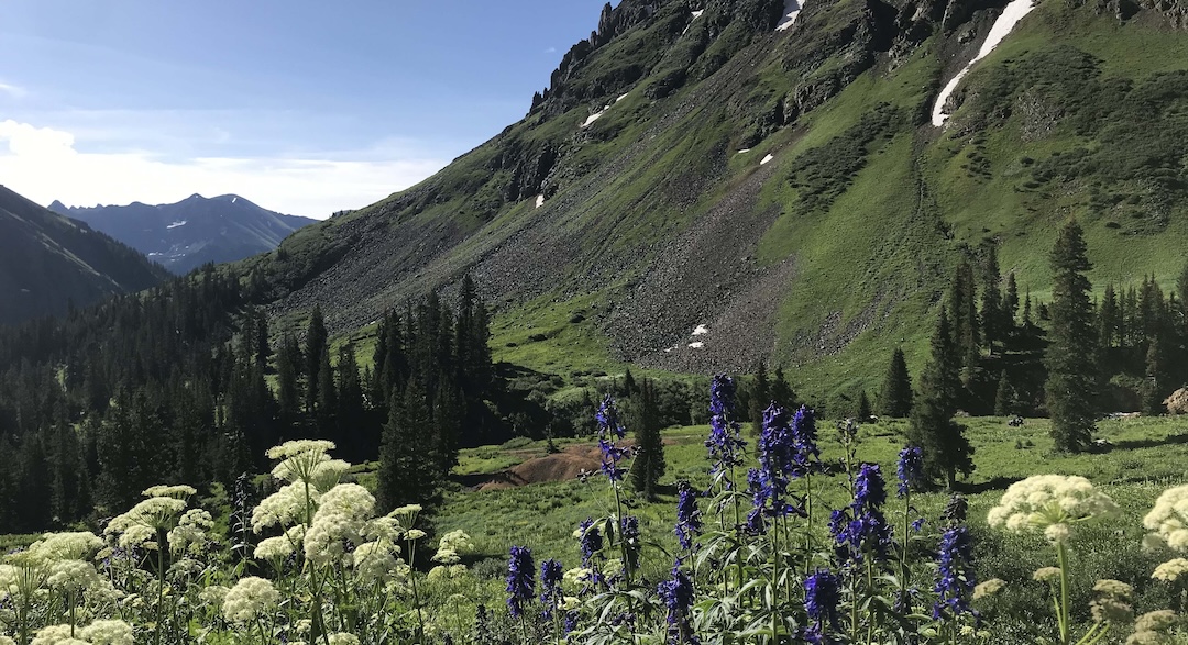 Mountain view with flowers